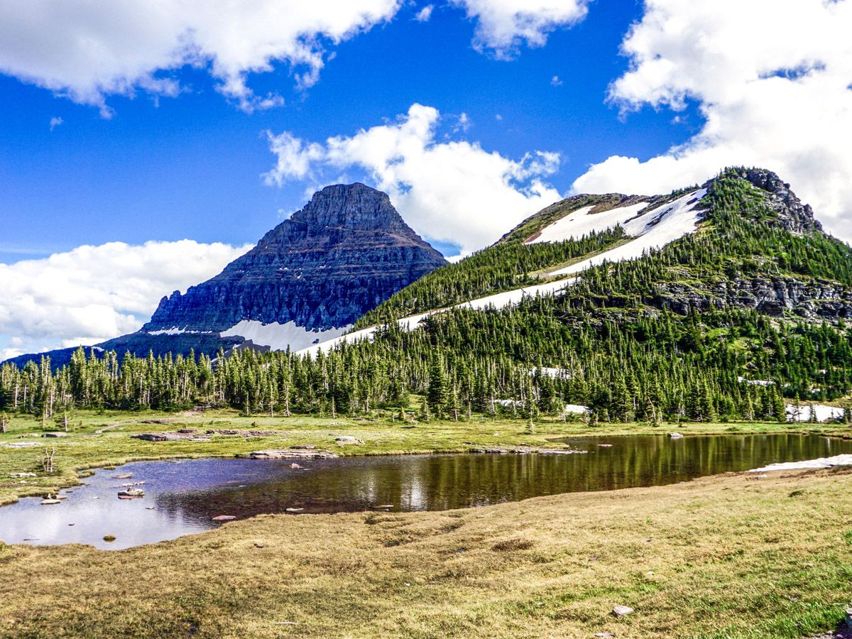 Hidden Lake Overlook Hike in Glacier National Park has amazing views