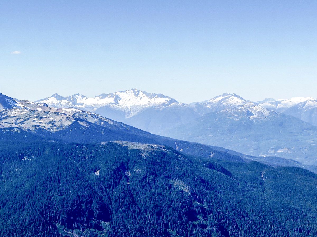 Mountains and forests at High Note Trail Hike in Whistler