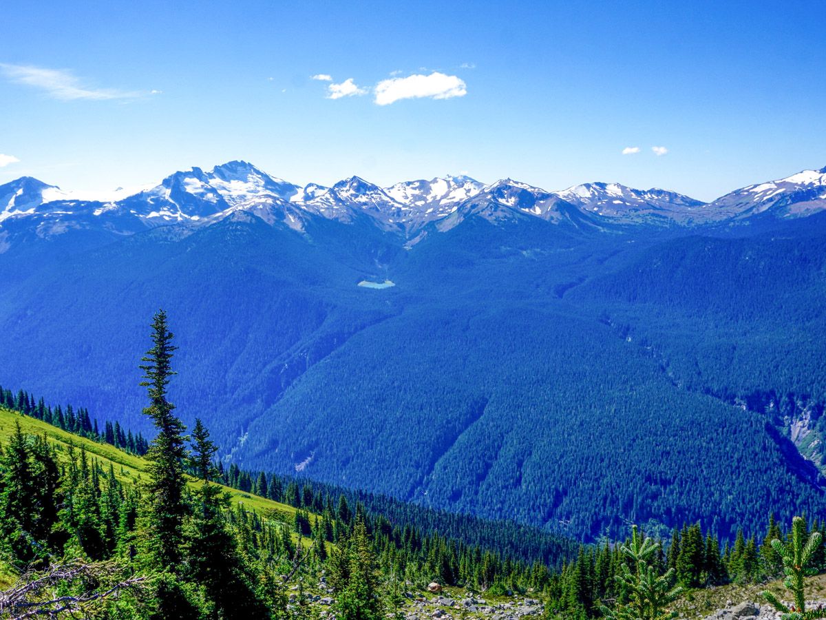 View of the forest from the top of the mountain at High Note Trail Hike in Whistler
