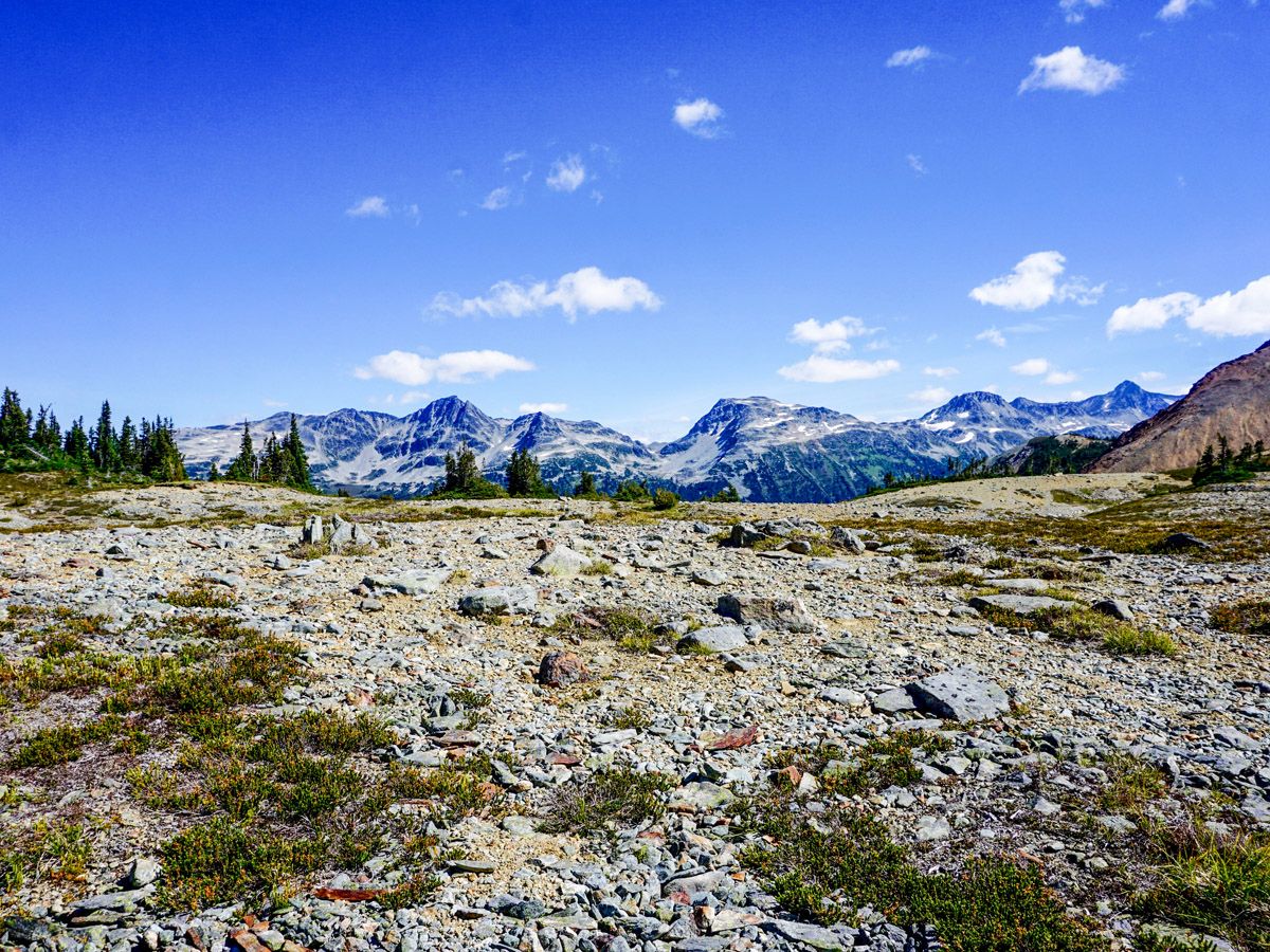 Hiking trail at High Note Trail Hike in Whistler