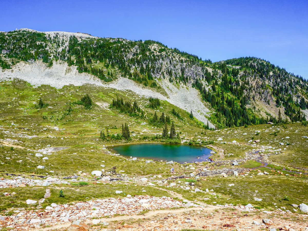 Forest and small lake at High Note Trail Hike in Whistler