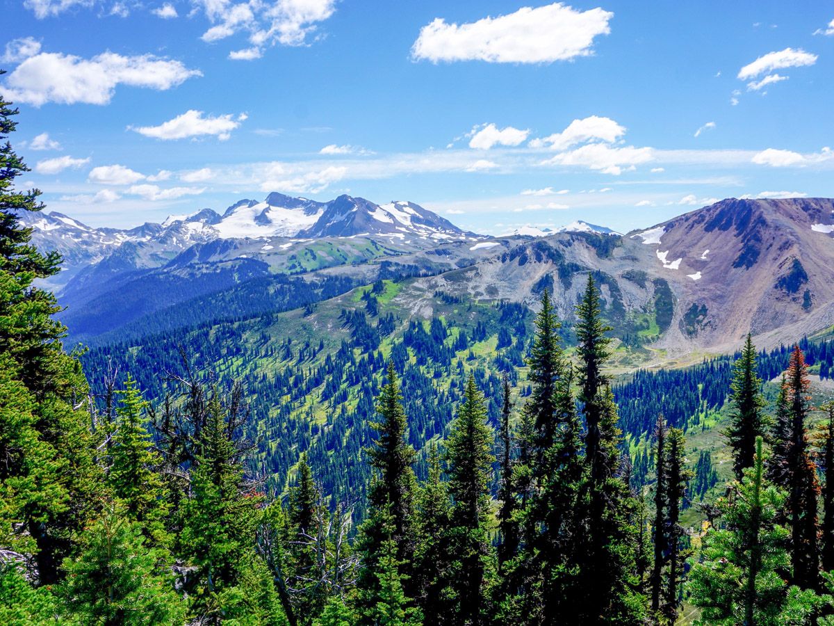 View of the area at High Note Trail Hike in Whistler