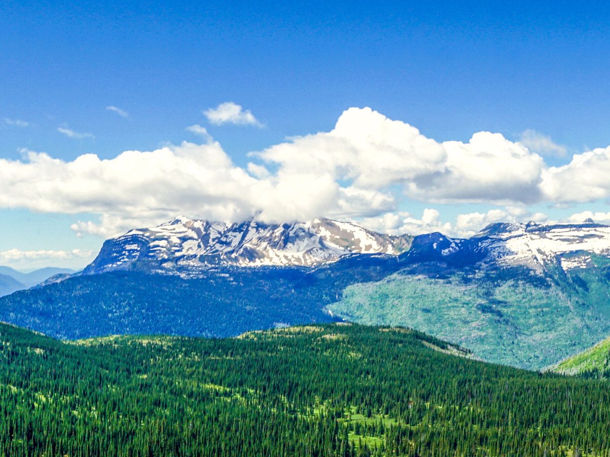 Mountain and forest at The Highline Hike in Glacier National Park