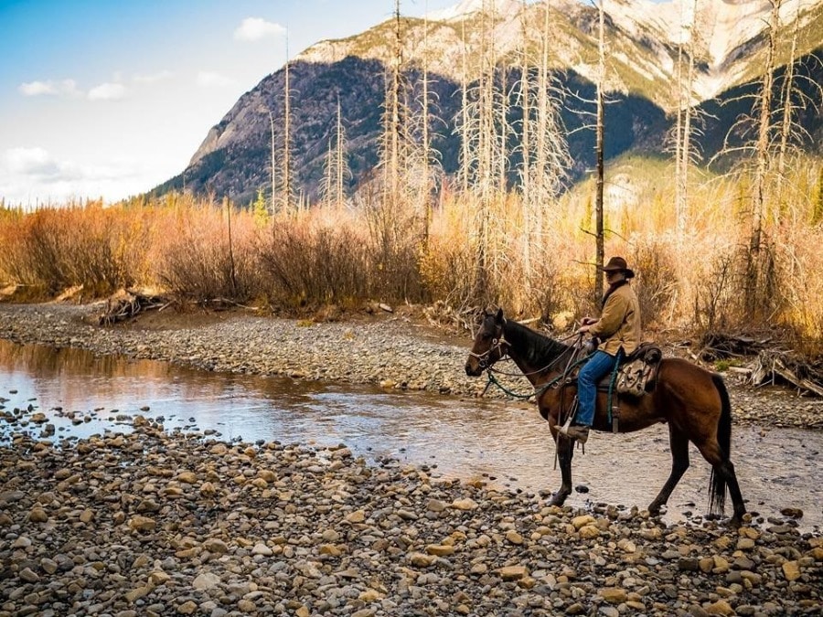 Riding horses in backcountry requires knowing the trail etiquette