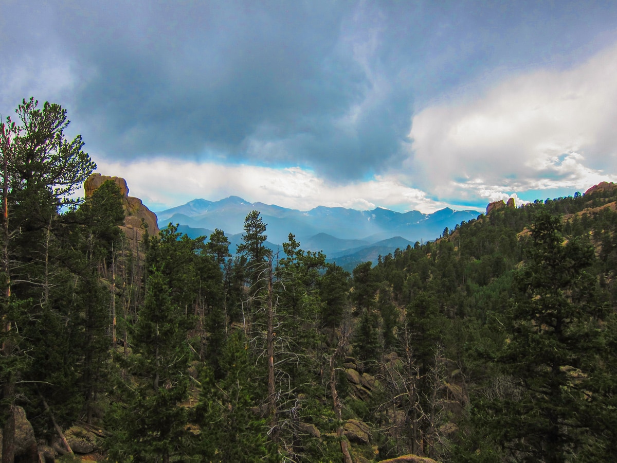 Forest along the trail of Gem Lake and Balanced Rock hike in Rocky Mountain National Park, Colorado