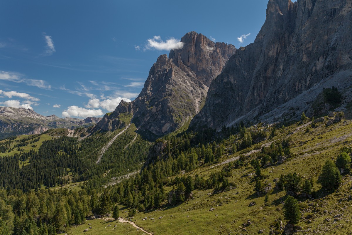 Sassolungo trail in Dolomites is surrounded by spruces forest