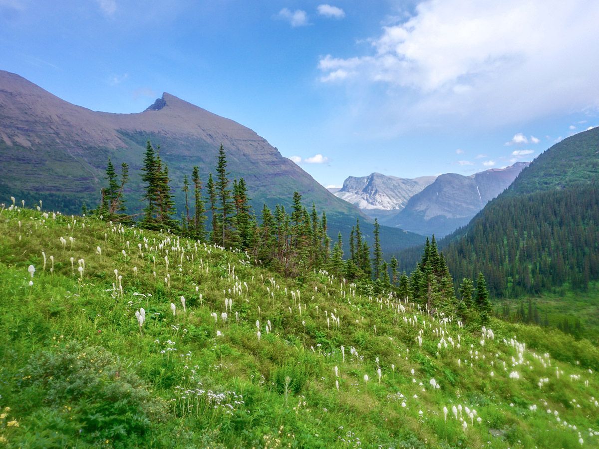 Landscape at Iceberg Lake Hike in Glacier National Park