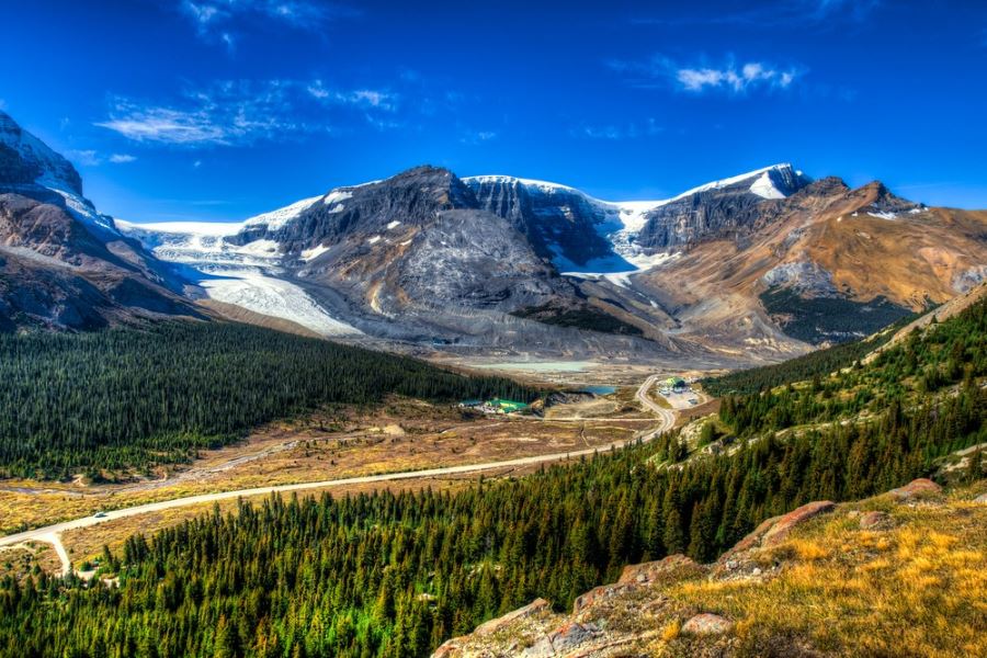 Wilcox Pass is a bucket-list hike for adventure lovers around Icefields Parkway
