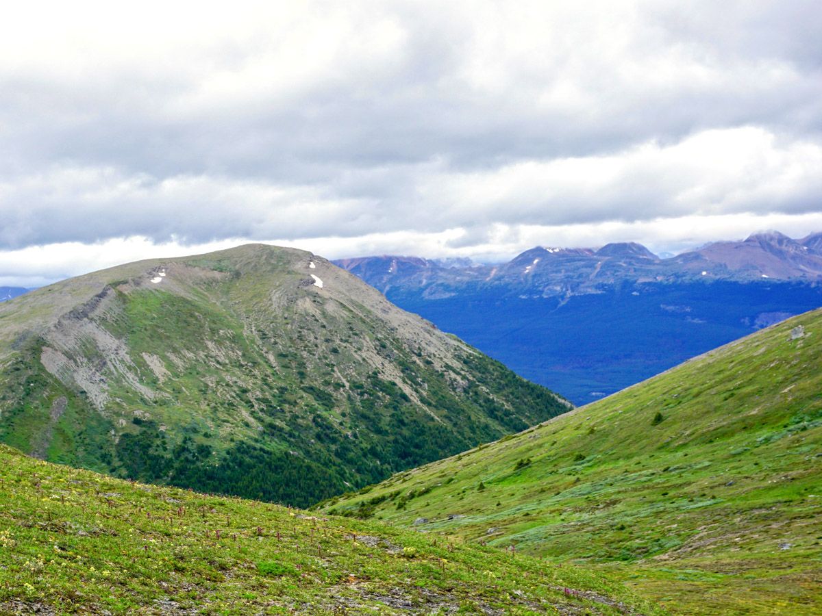 Landscape at Whistlers Mountain and Indian Ridge in Jasper National Park