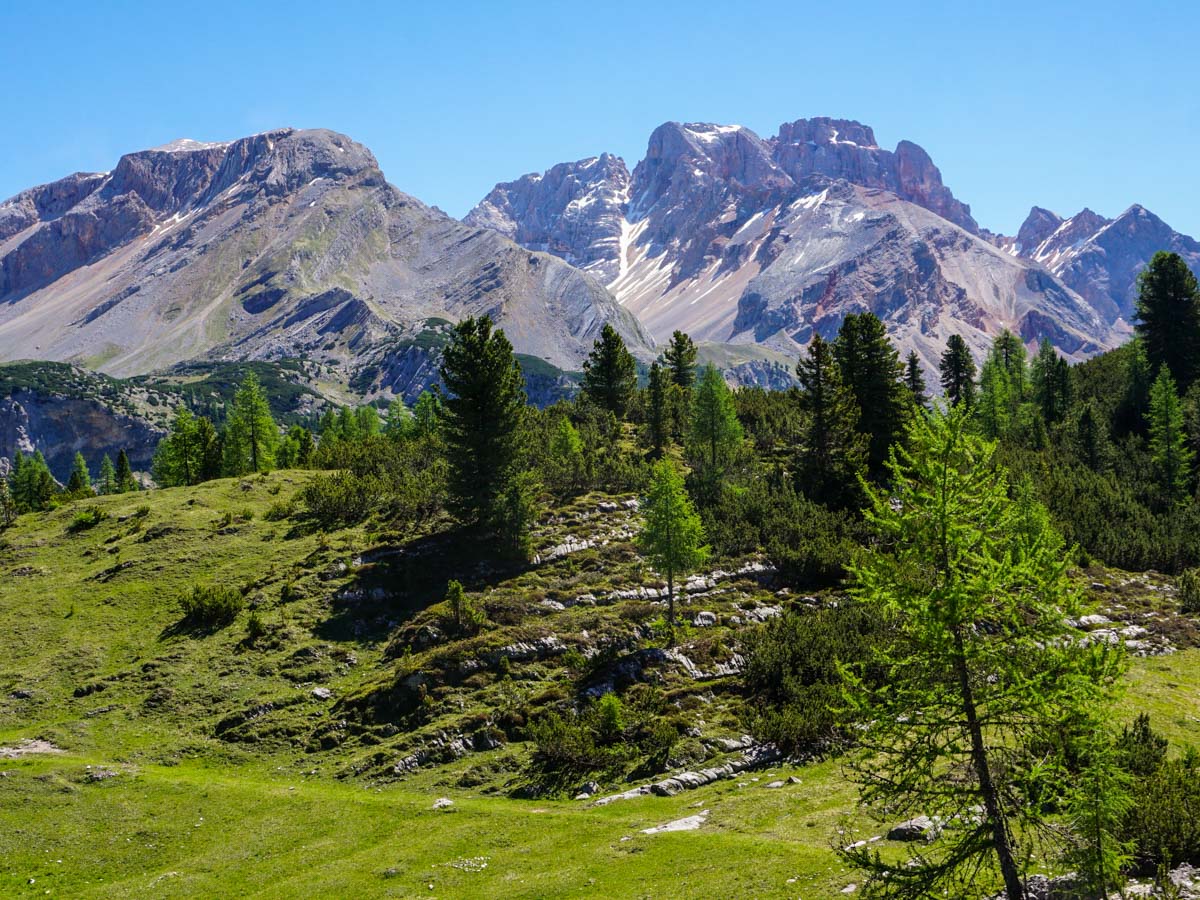 Beautiful views from the Alpe di Sennes Hike in Dolomites, Italy
