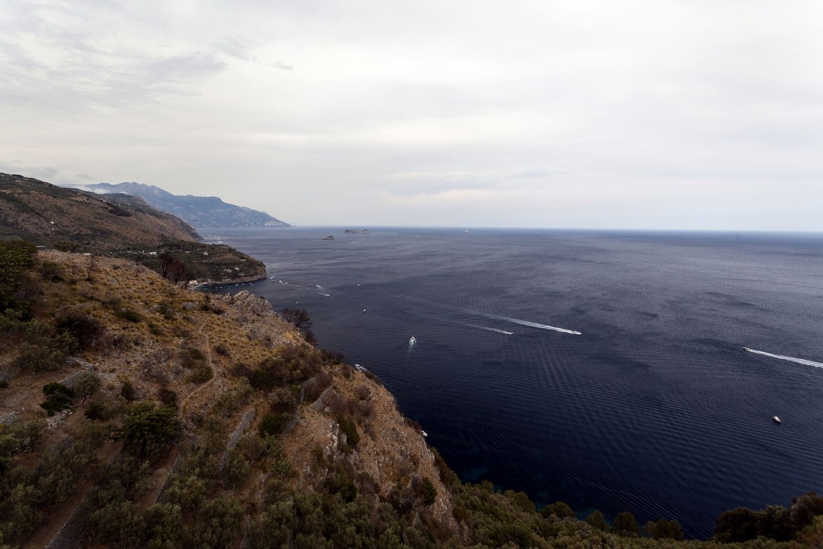 Olive tree groove and Amalfi Coast from the Bay of Ieranto Hike in Amalfi Coast, Italy