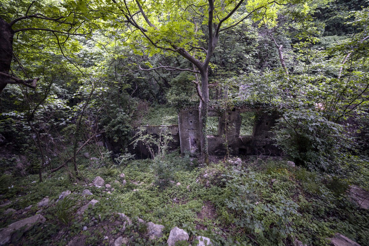 Old paper mill taken by nature on the Valle dei Mulini Hike in Amalfi Coast, Italy