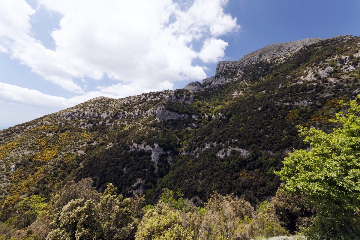 Forest below the mountains on the Circuit of Tre Calli Hike in Amalfi Coast, Italy