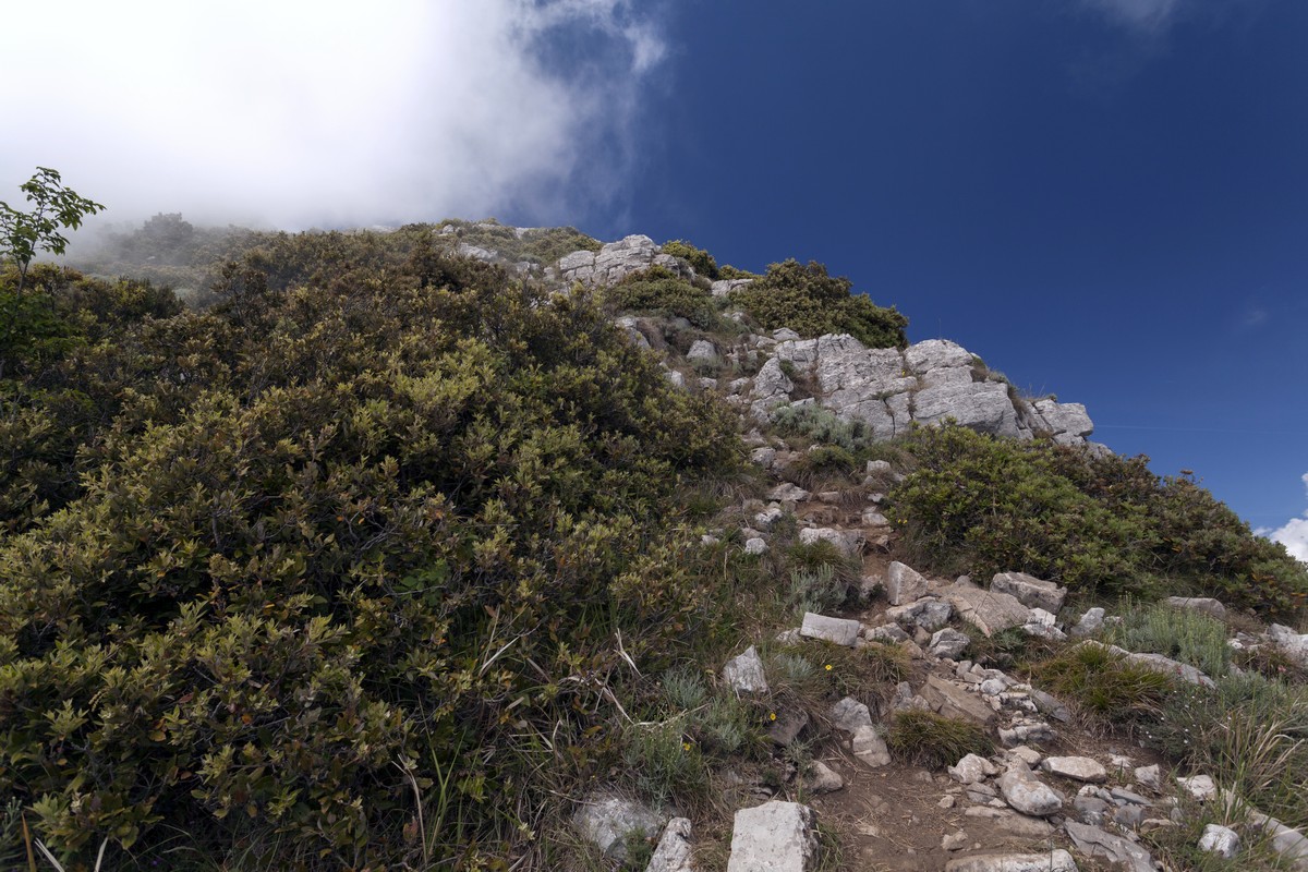 Trail of the Monte Canino Hike in Amalfi Coast, Italy