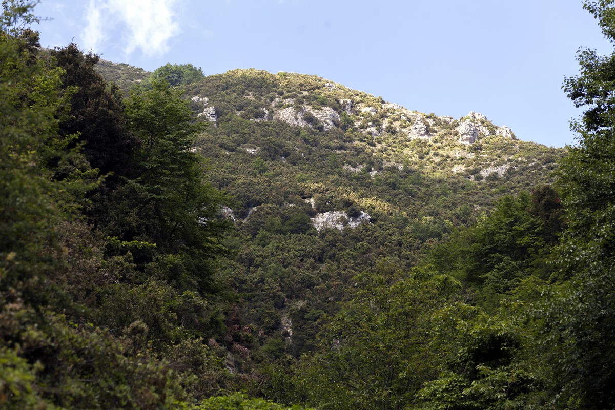 The woods along the High Path of the Gods Hike in Amalfi Coast, Italy