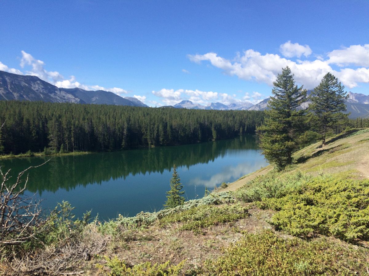 Family-friendly trail of the Johnson Lake Hike near Banff, the Canadian Rockies