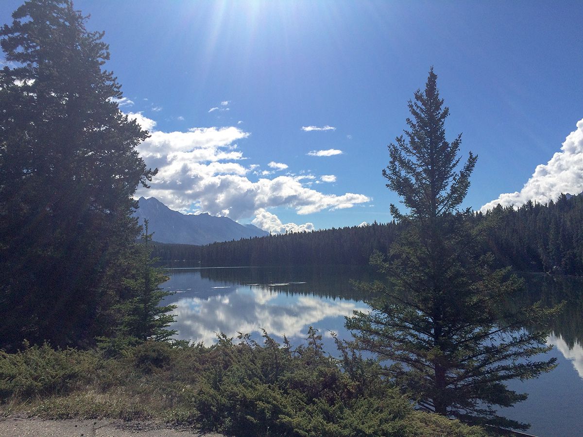 Lake views from the Johnson Lake Hike near Banff, the Canadian Rockies