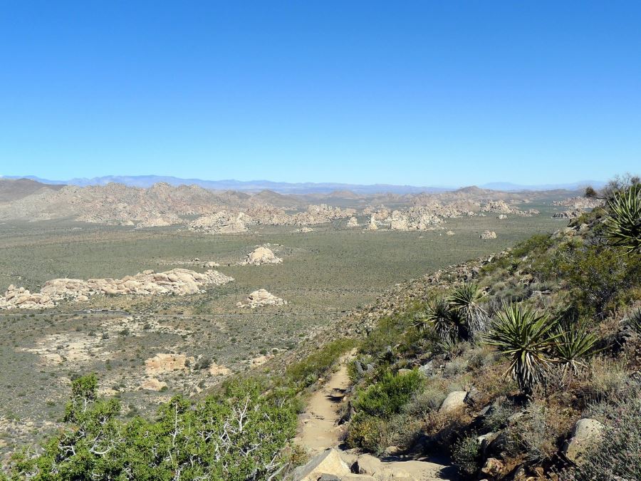 Ryan Mountain is a must-see in Joshua Tree National Park