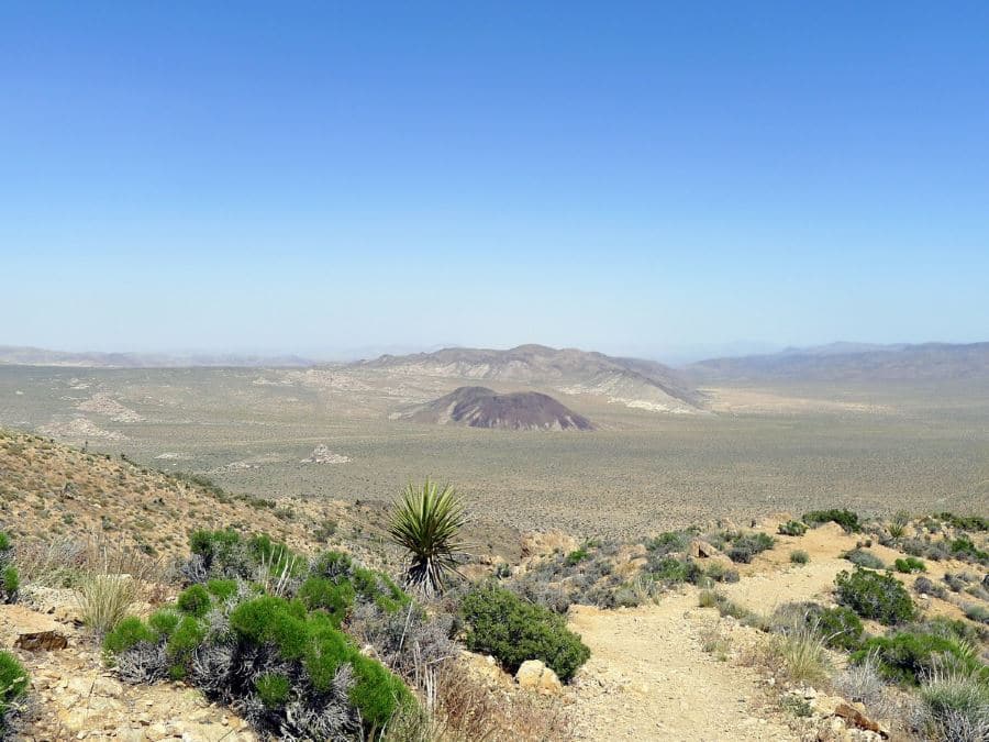 Hiking the Lost Horse Loop trail in Joshua Tree National Park is a must-do