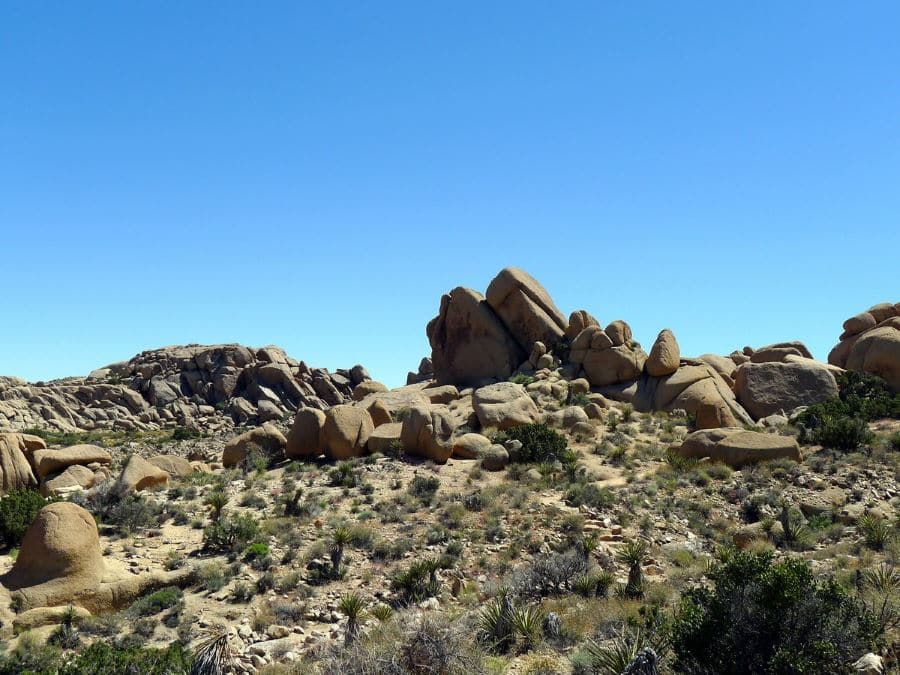Split Rock Trail hike is a great idea to spend time in Joshua Tree National Park
