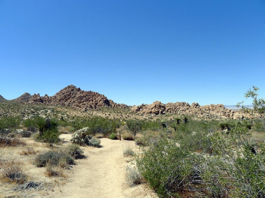 Hike the Indian Cove Loop in Joshua Tree National Park to make your trip to California special