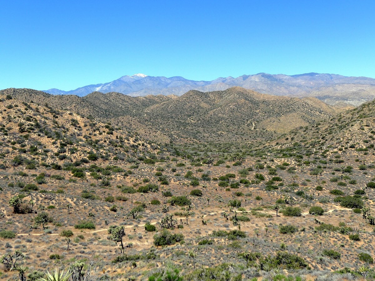 An archway on the High View Trail Hike in Joshua Tree National Park, California