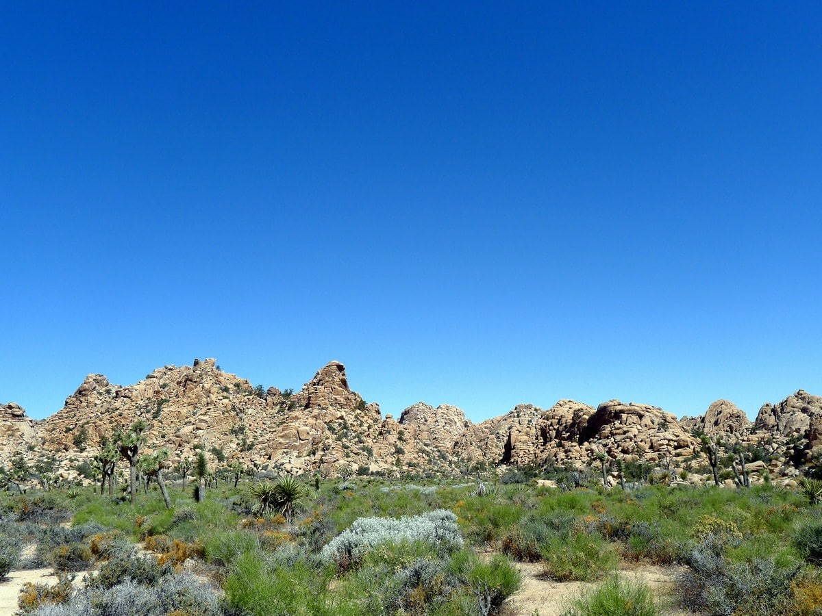 Rock formation on the Hidden Valley Loop Hike in Joshua Tree National Park, California