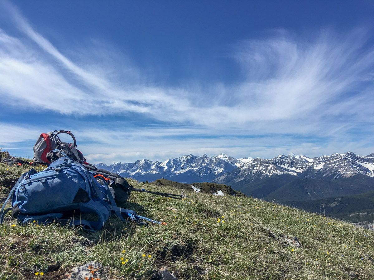 Great scenery on the King Creek Ridge Hike in Kananaskis, near Canmore