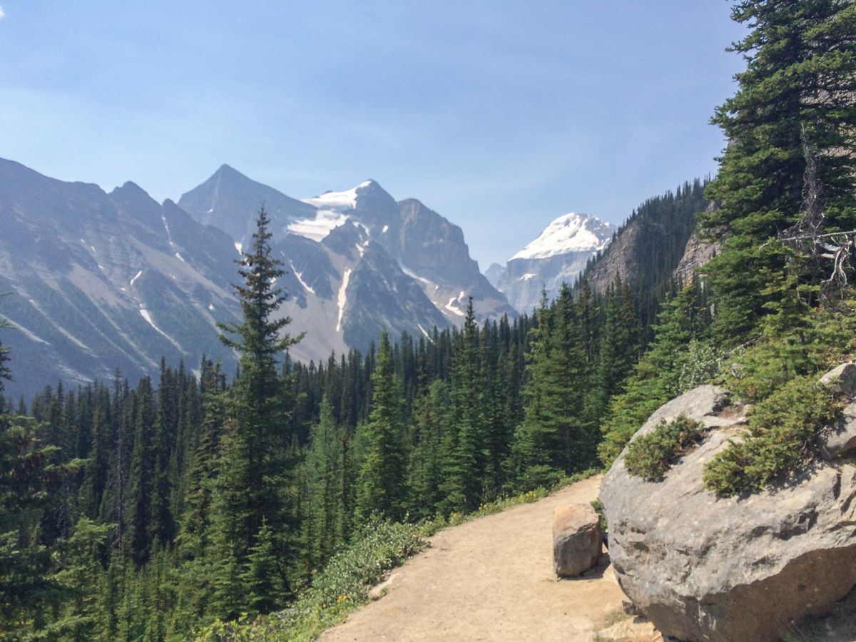 Trail near the forest on the Lake Agnes Tea House Hike in Lake Louise, Banff National Park