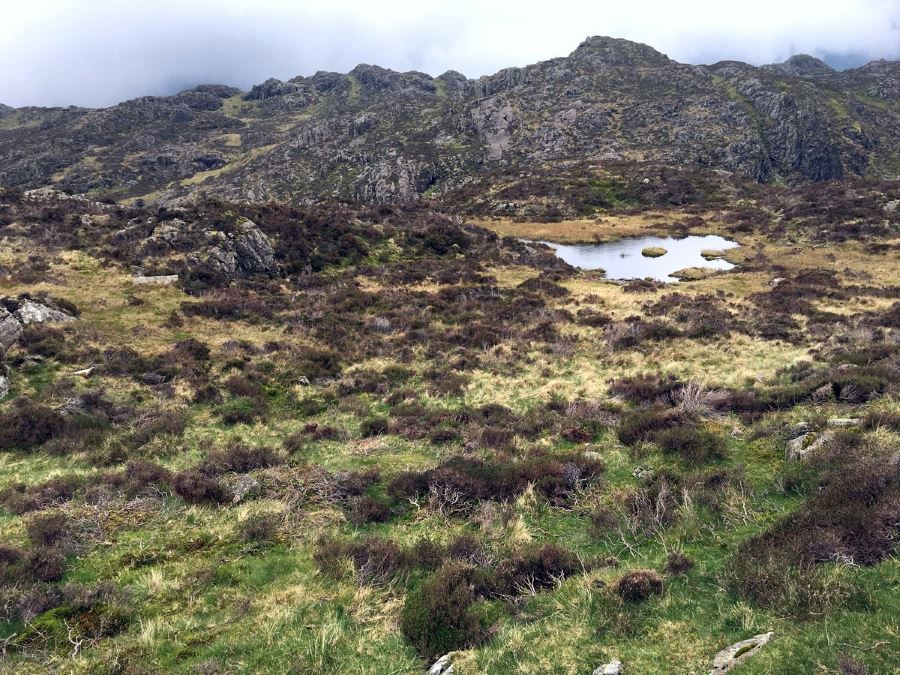 Views of Innominate Tarn from the Haystacks Hike in Lake District, England