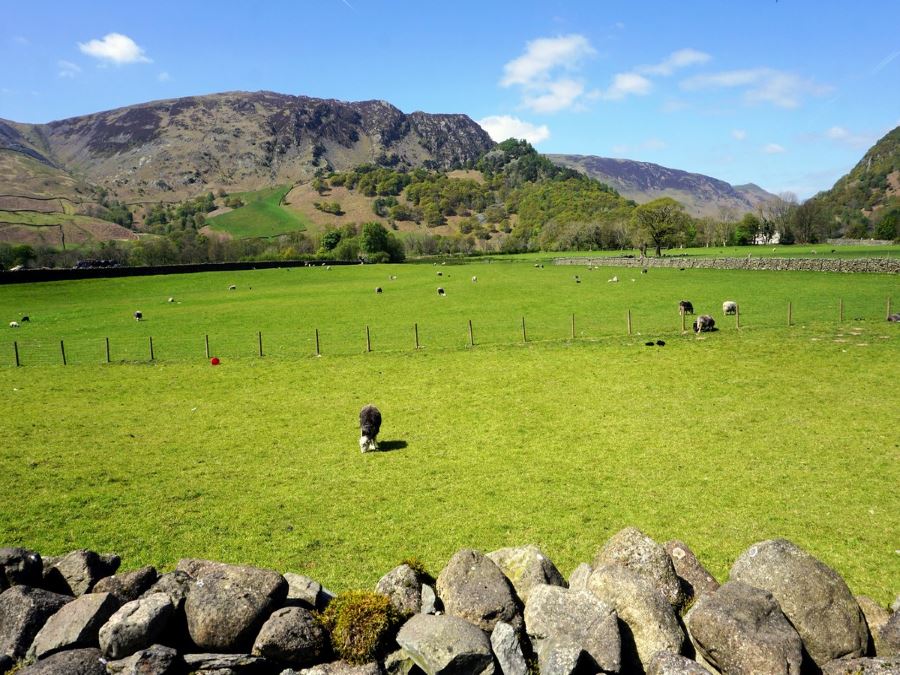 Beginning of the trail of the Langstrath Valley Hike in Lake District, England