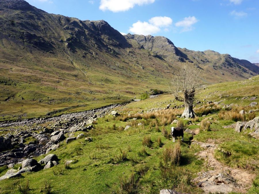 Trail of the Langstrath Valley Hike in Lake District, England