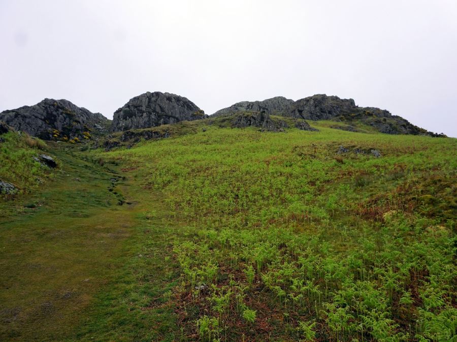 Views around the Rannerdale Knotts Hike in Lake District, England