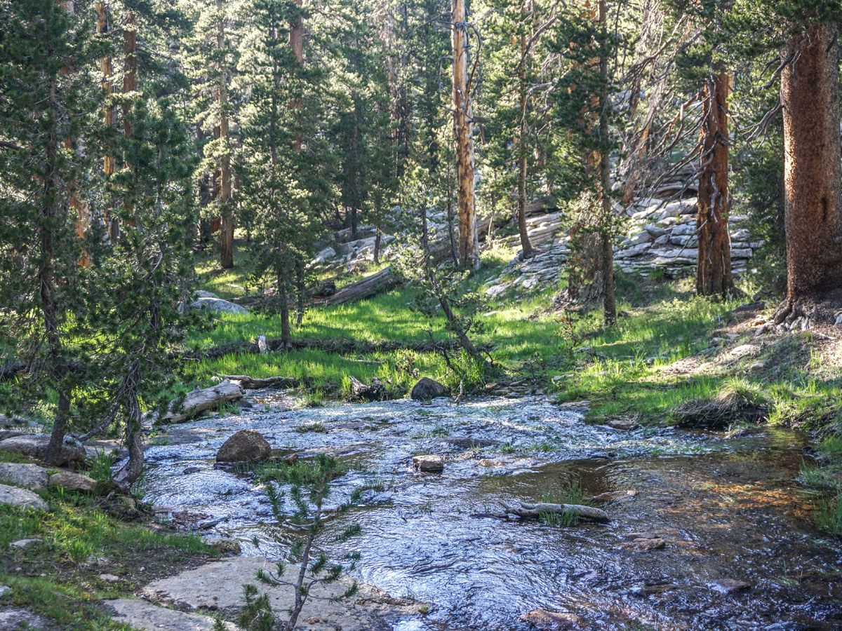 River along the Lembert Dome Hike in Yosemite National Park, California