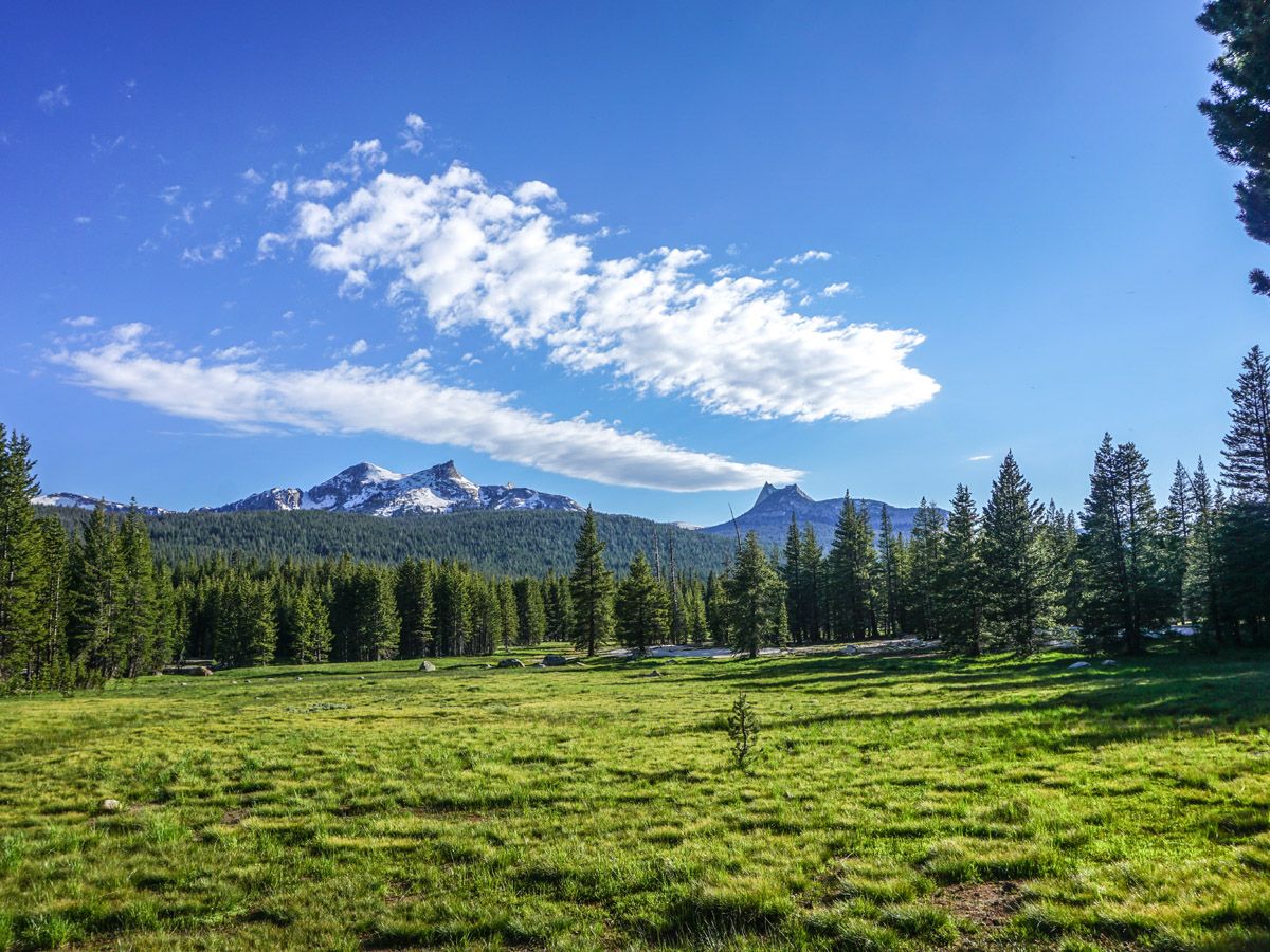 Meadow on the Lembert Dome Hike in Yosemite National Park, California