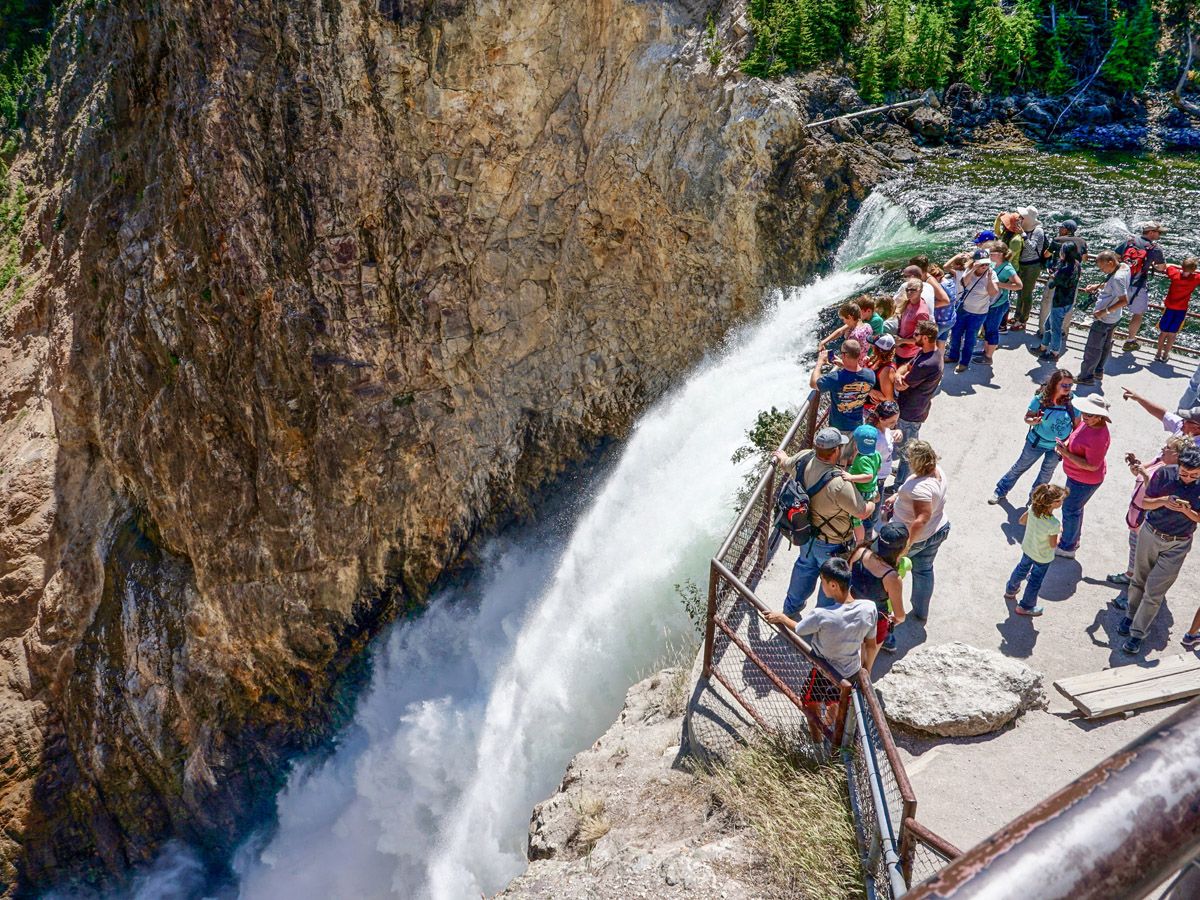 People near falls on Brink of the Lower Falls Hike in Yellowstone National Park