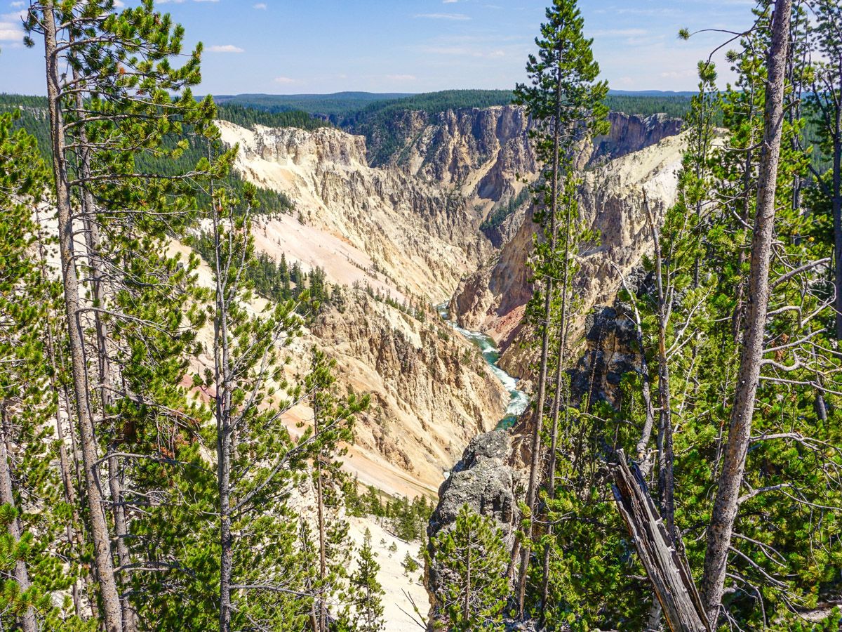 Panorama of the Great view of the Brink of the Lower Falls Hike in Yellowstone National Park