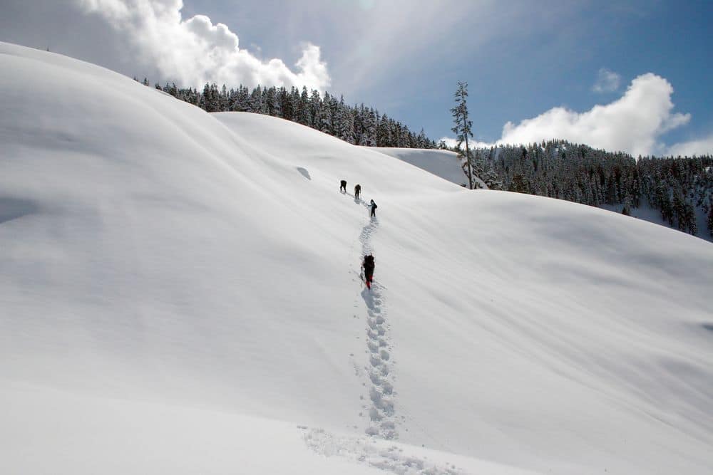 Snowshoeing in Whistler