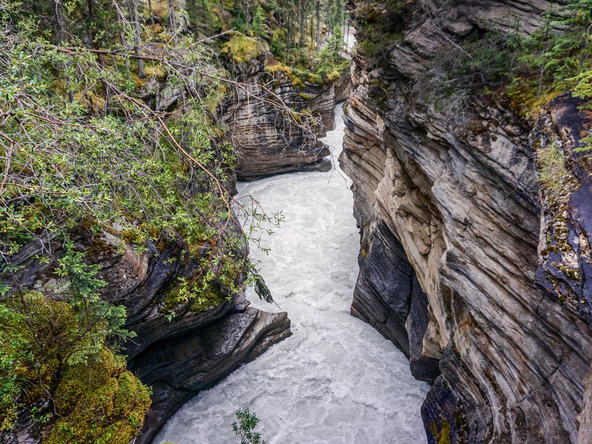Water on the Athabasca Falls Hike in Jasper National Park, Alberta