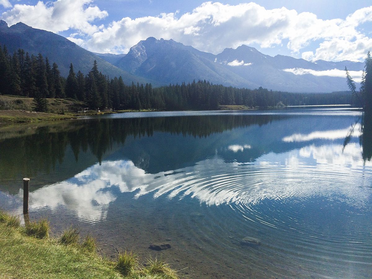 Beautiful trail on the Johnson Lake Hike near Banff, the Canadian Rockies