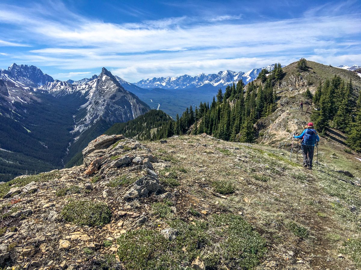 King Creek Ridge Hike in Kananaskis, near Canmore