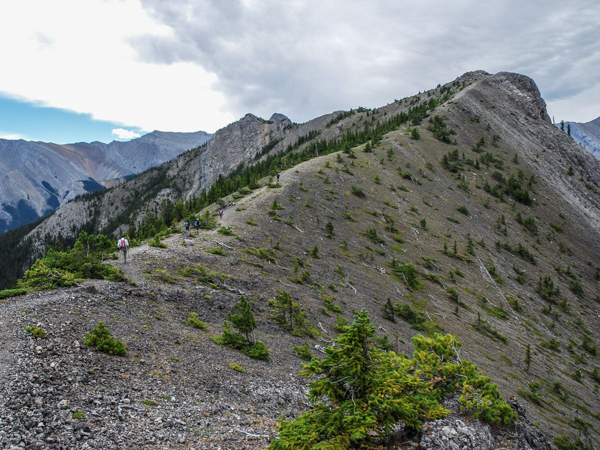 Views of the Wasootch Ridge Hike in Kananaskis, near Canmore