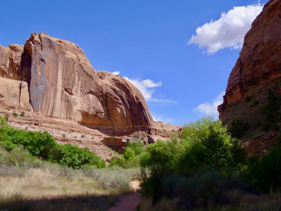 We have lots of ideas for your trip to Moab