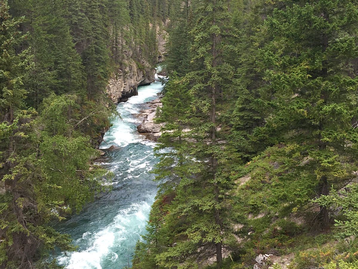 Blue water river on the Maligne Canyon Hike in Jasper National Park, Alberta