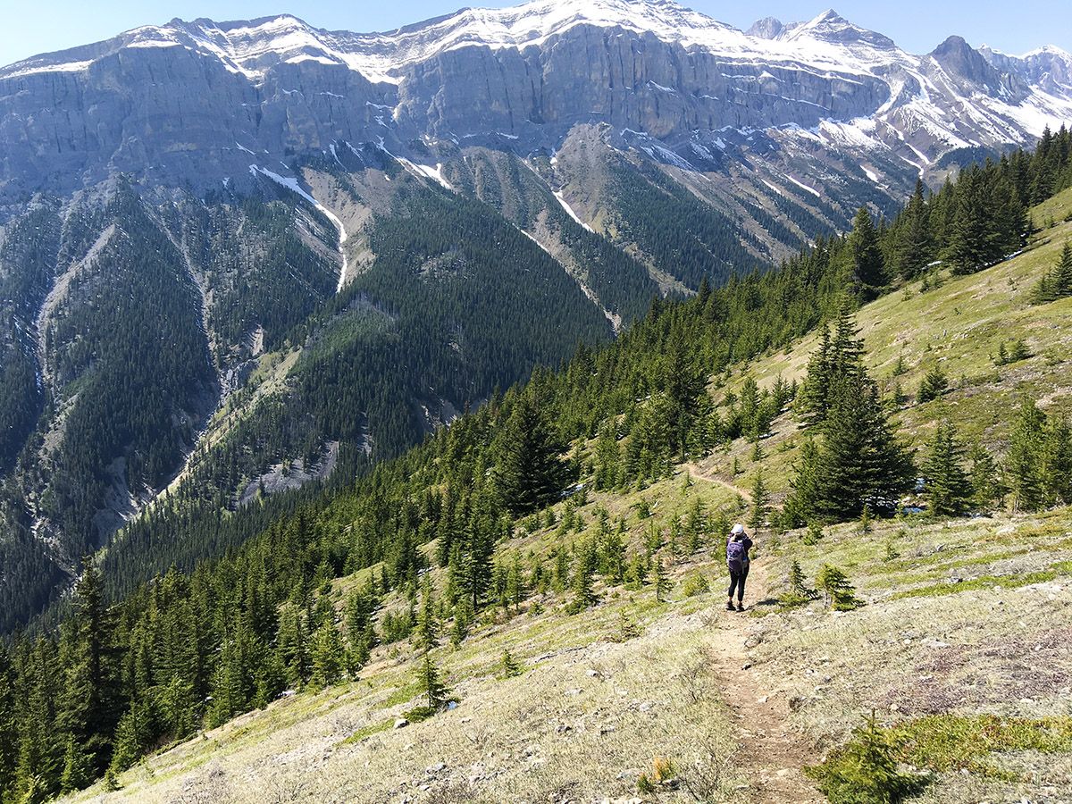 Trail of the Aylmer Lookout via Lake Minnewanka Hike near Banff