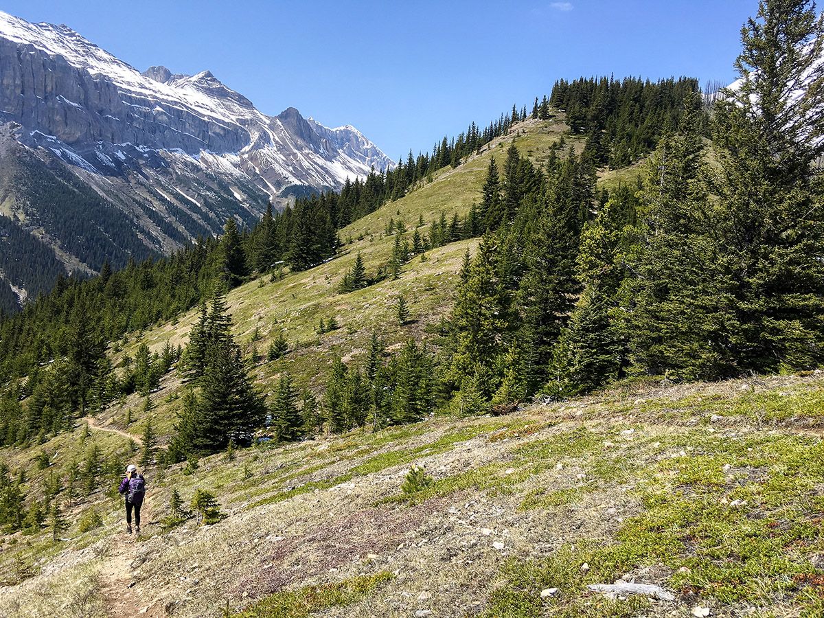 View from the Aylmer Lookout via Lake Minnewanka Hike near Banff