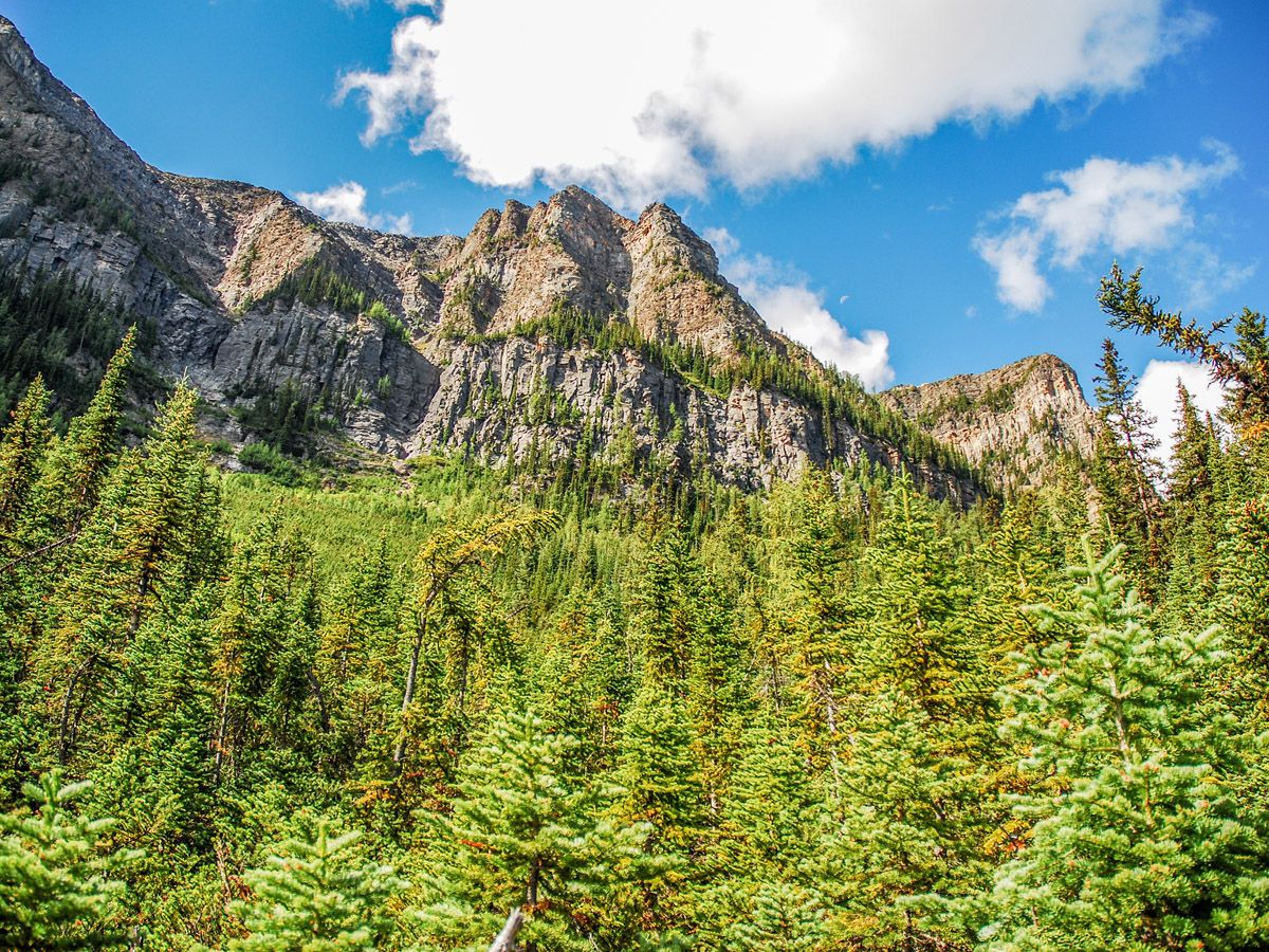 Mount Fairview Summit Hike in Lake Louise takes you on a beautiful trail surrounded by forests and peaks