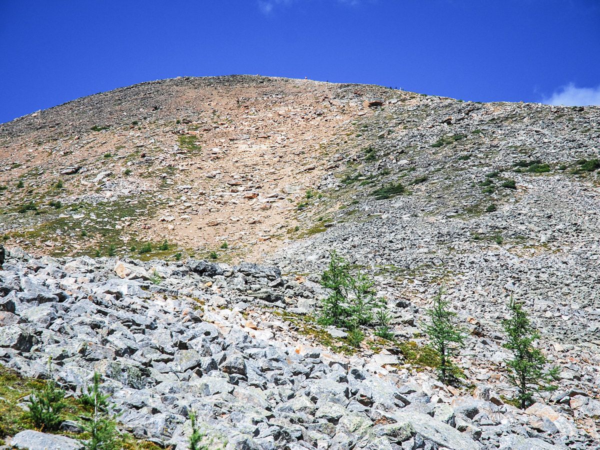 Rocky Trail at Mount Fairview Summit Hike in Lake Louise