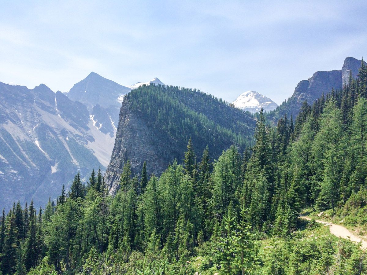 Trail of the Mount St. Piran Hike near Lake Louise, Banff National Park, Alberta