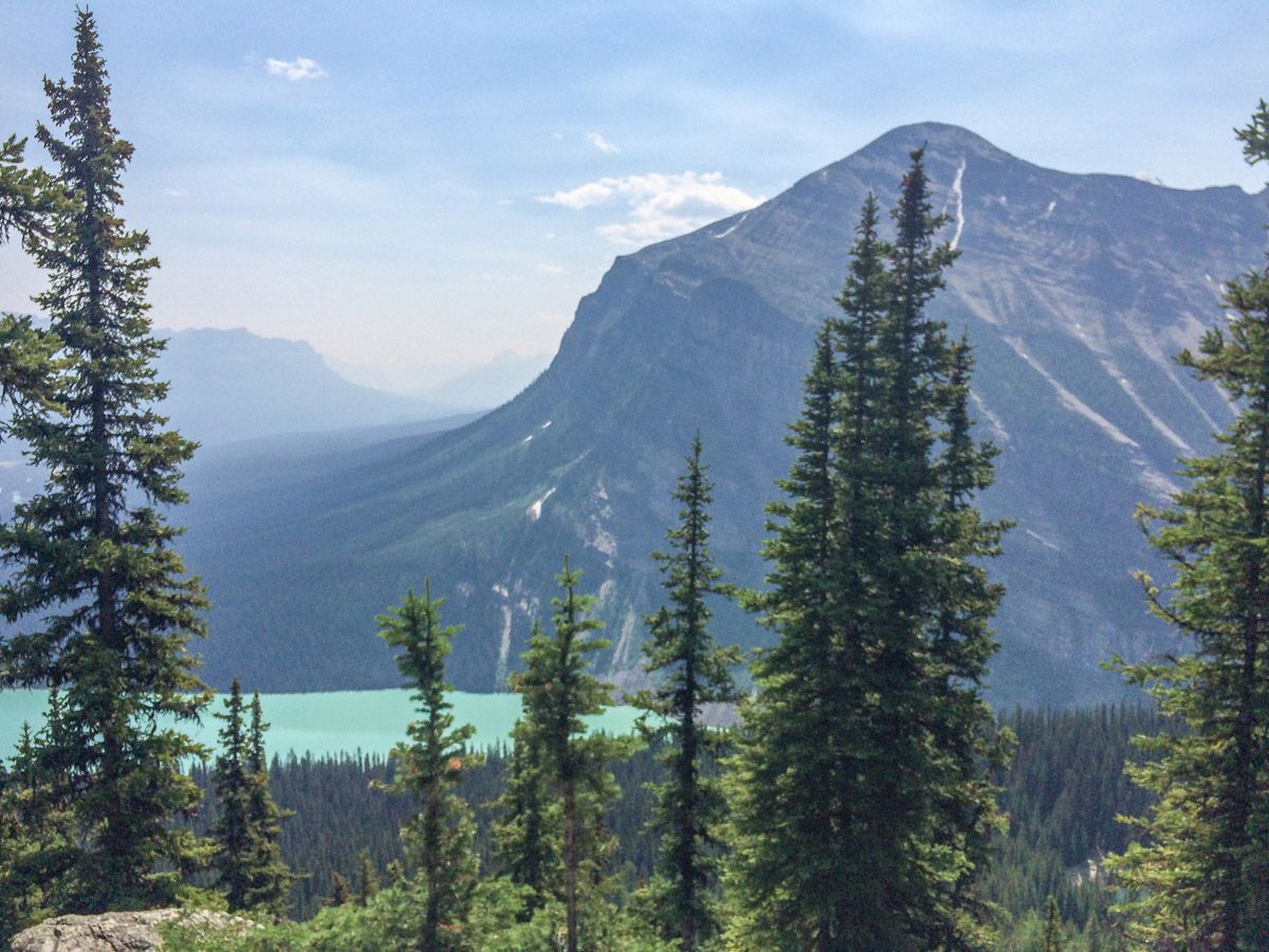 Lake and forest on the Mount St. Piran Hike near Lake Louise, Banff National Park, Alberta